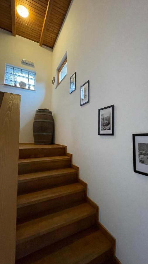 Guest House Alpha Ski Camp Τζαχορίνα Εξωτερικό φωτογραφία