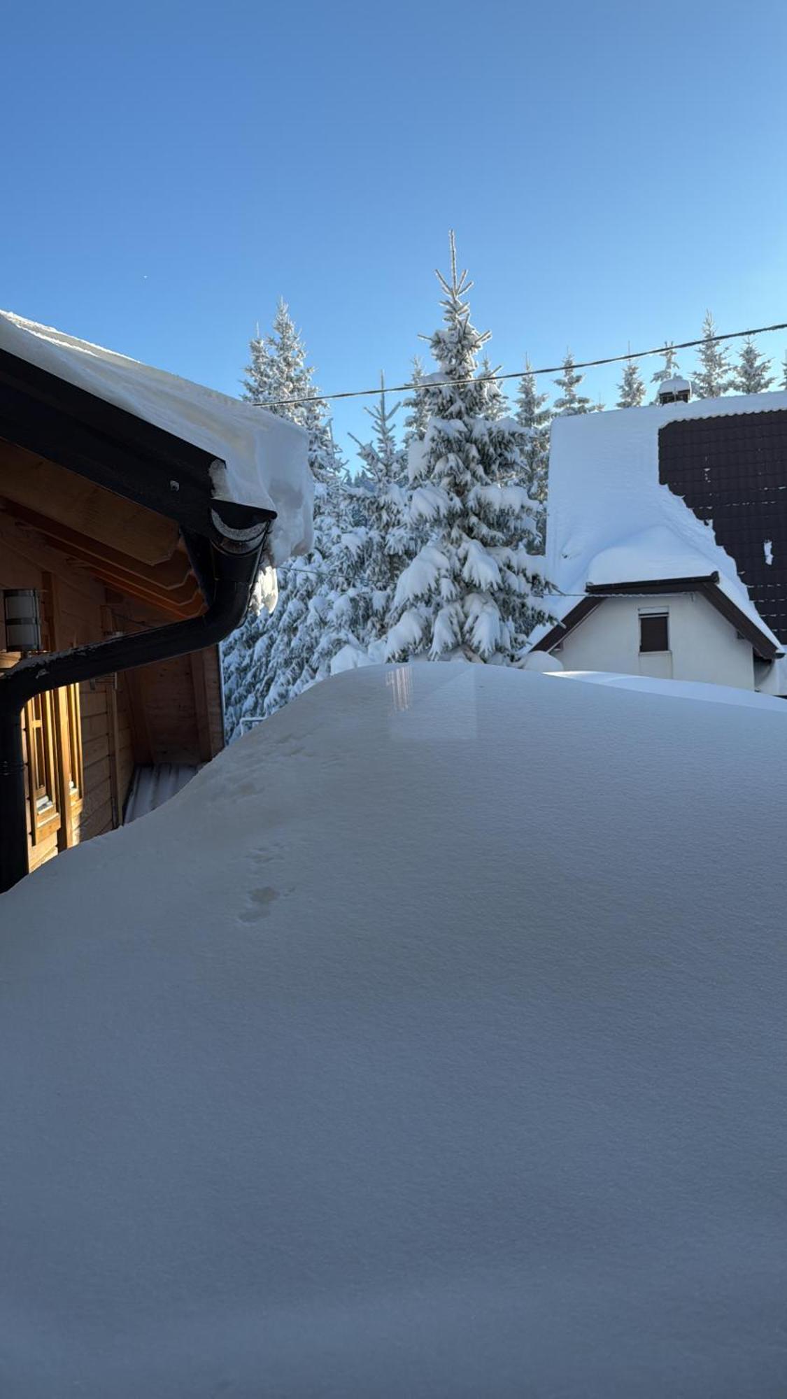 Guest House Alpha Ski Camp Τζαχορίνα Εξωτερικό φωτογραφία