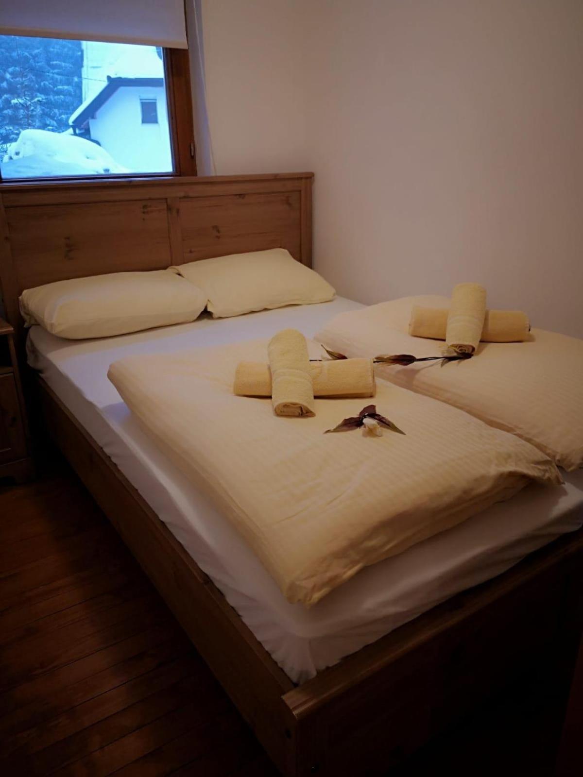 Guest House Alpha Ski Camp Τζαχορίνα Εξωτερικό φωτογραφία