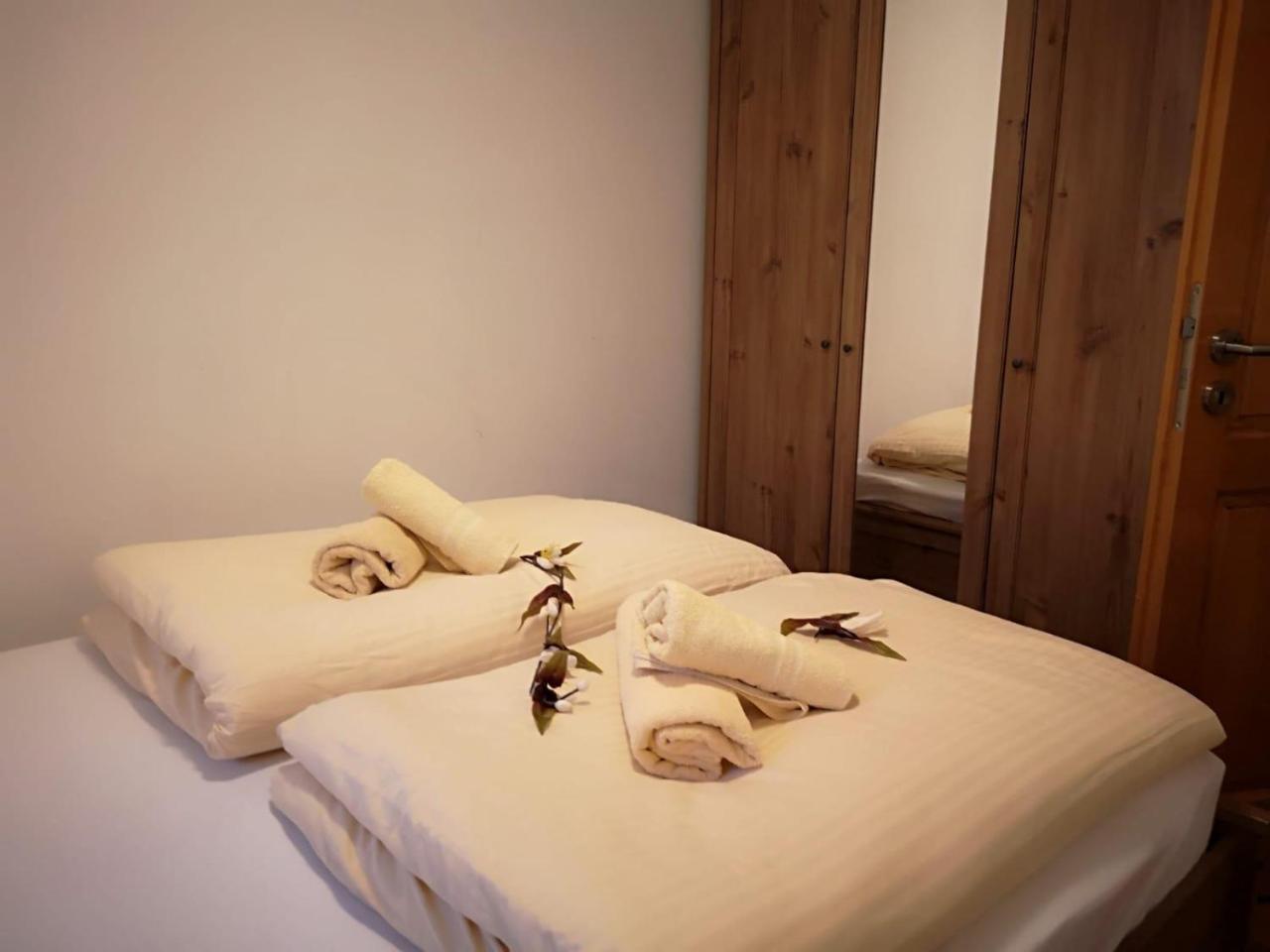 Guest House Alpha Ski Camp Τζαχορίνα Εξωτερικό φωτογραφία